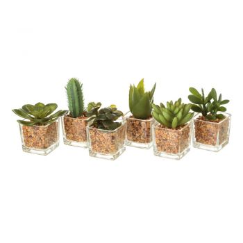 Plante artificiale 6 buc. (înălțime 8 cm) Cactus – Casa Selección