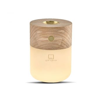 Difuzor de parfum electric Smart – Gingko