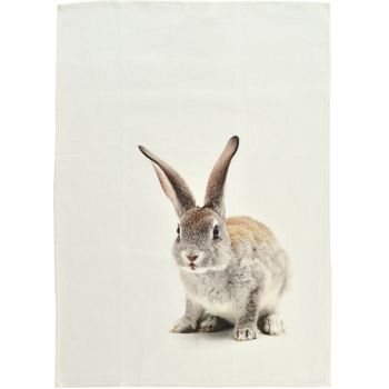 Prosop de bucatarie Sander Kitchen One Rabbit 50x70cm 40 original