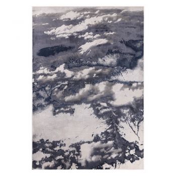 Covor albastru-gri 290x200 cm Aurora - Asiatic Carpets