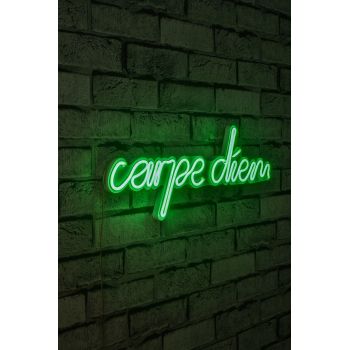 Decoratiune luminoasa LED, Carpe Diem, Benzi flexibile de neon, DC 12 V, Verde
