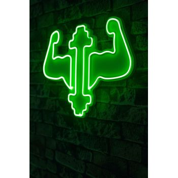 Decoratiune luminoasa LED, Gym Dumbbells WorkOut, Benzi flexibile de neon, DC 12 V, Verde