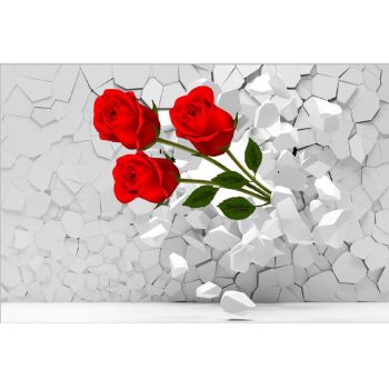 Fototapet, Trandafiri rosii prin zid