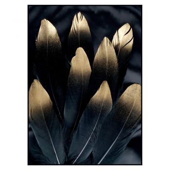 Tablou 50x70 cm Golden Feather – Malerifabrikken ieftin
