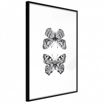 Poster - Butterfly Collection I, cu Ramă neagră, 40x60 cm la reducere