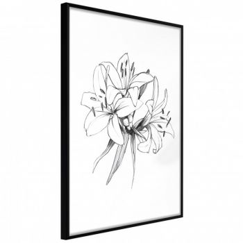 Poster - Sketch of Lillies, cu Ramă neagră, 40x60 cm la reducere
